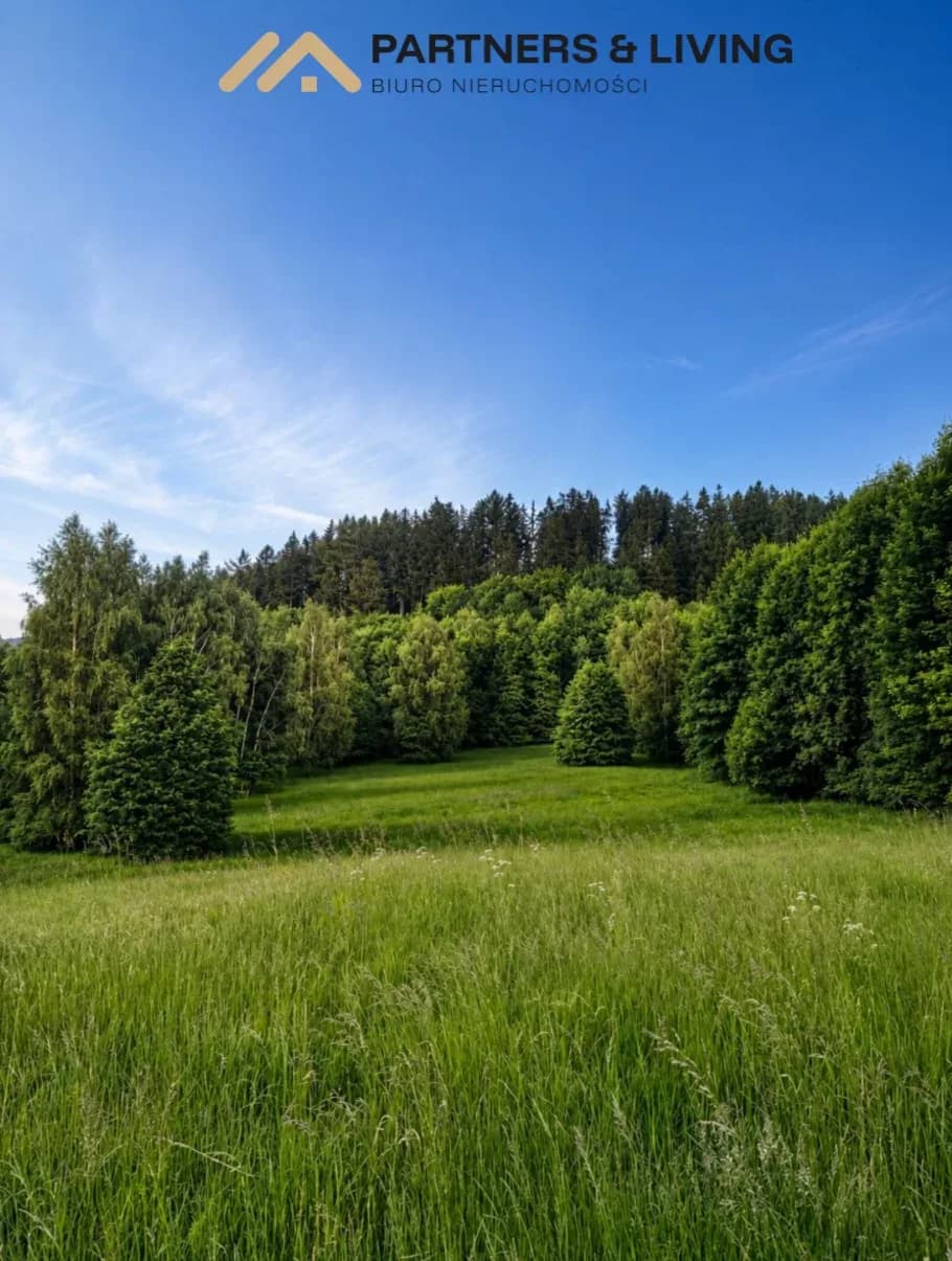 Działka rolna w Miłkowie – zdjęcie 2